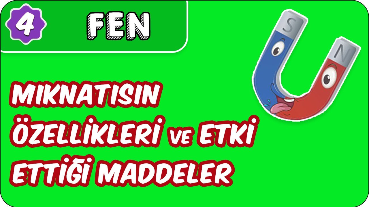 Mıknatısın Özellikleri ve Etki Ettiği Maddeler | 4. Sınıf Fen  evokul Kampı