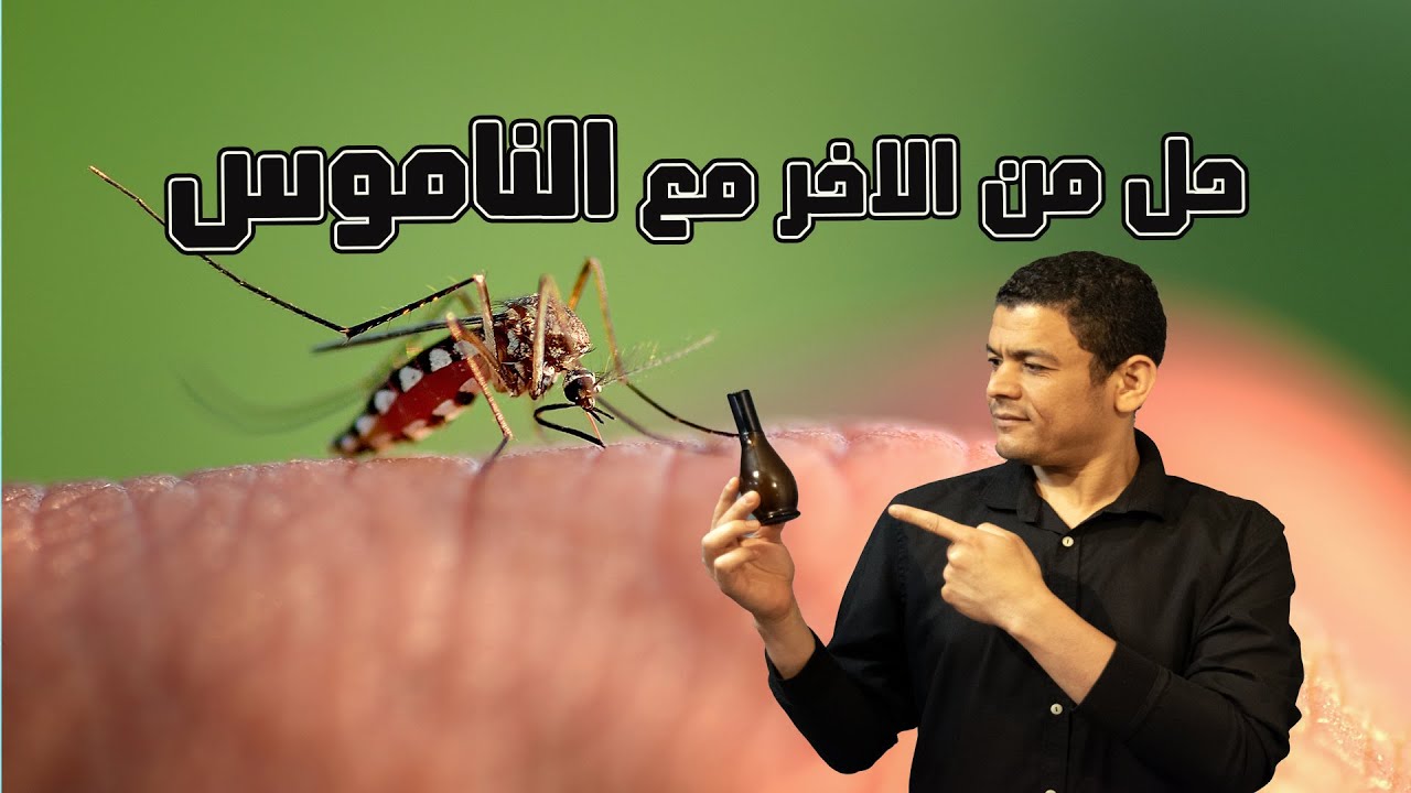 الحل الوحيد الفعال مع الناموس وعن تجربة
