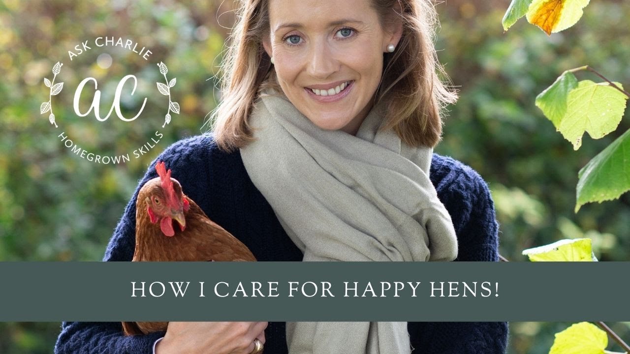 Ask Charlie  - How I care for happy hens!