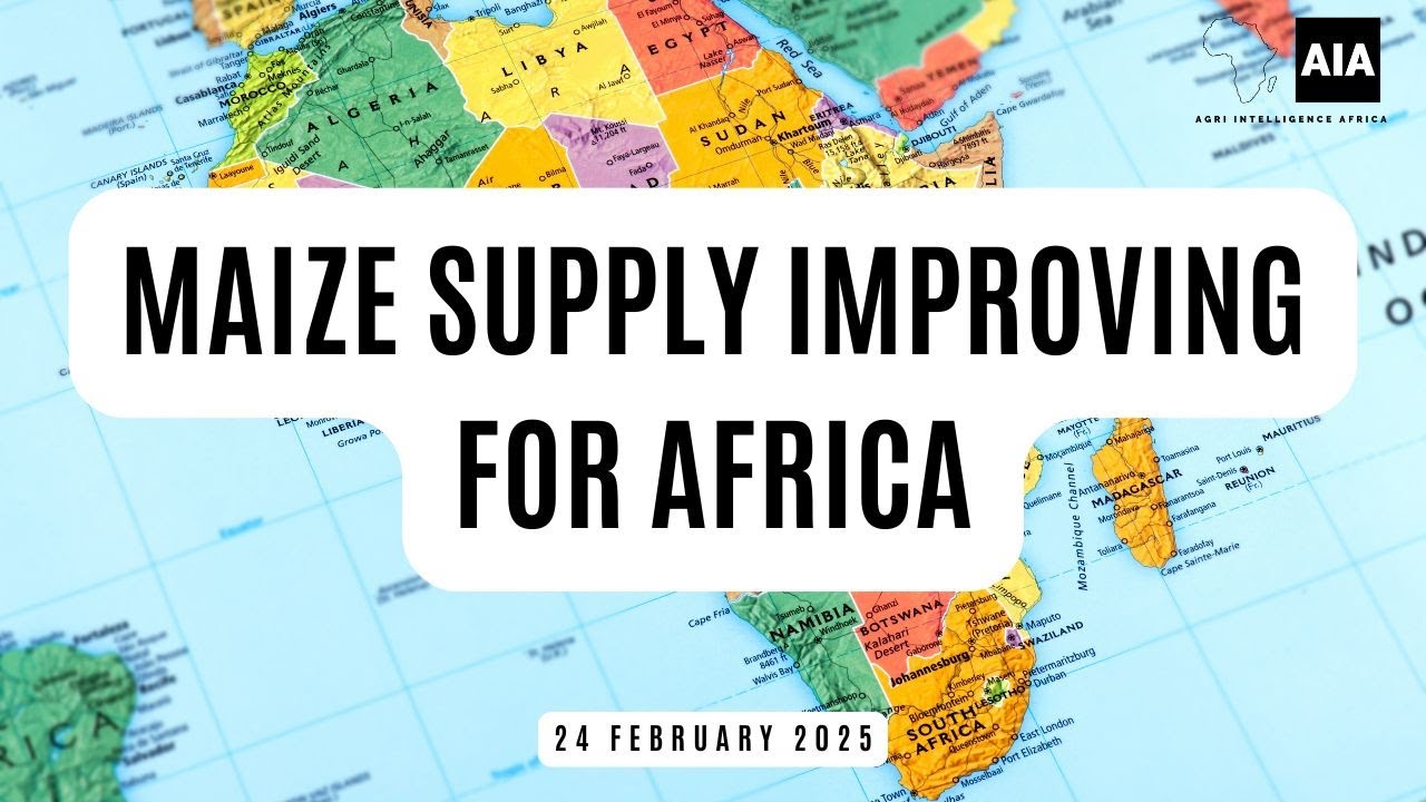 Maize Supply Improving For Africa - 24 Feb 2025