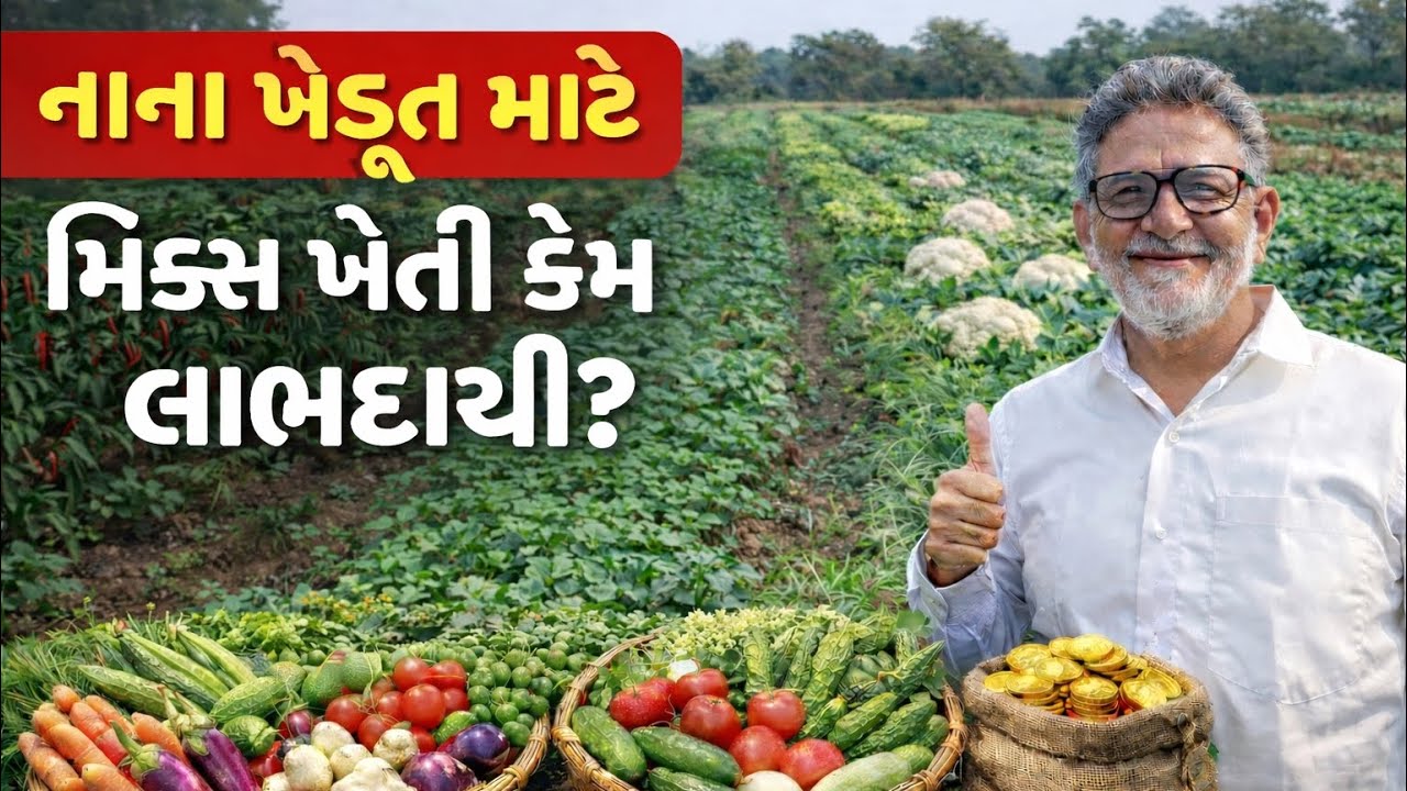 નવી પેઢીની મિક્સ ખેતી | મિક્સ ખેતી : સ્થિર આવકનો રસ્તો