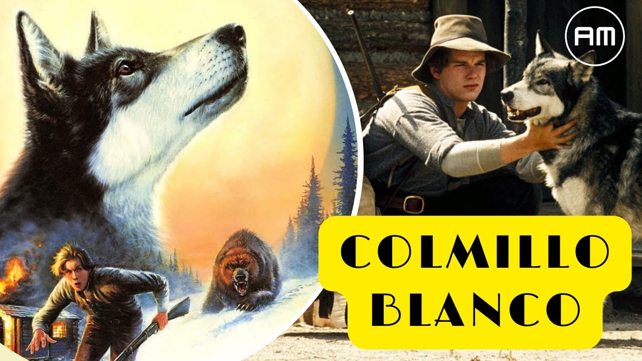 🐺 Una AMISTAD sin igual entre un PERRO LOBO y un HUMANO / COLMILLO BLANCO 1991 / ACORTANDO MINUTOS
