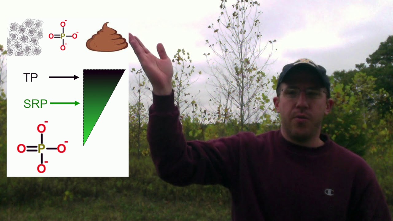 Phosphorus in Aquatic Systems