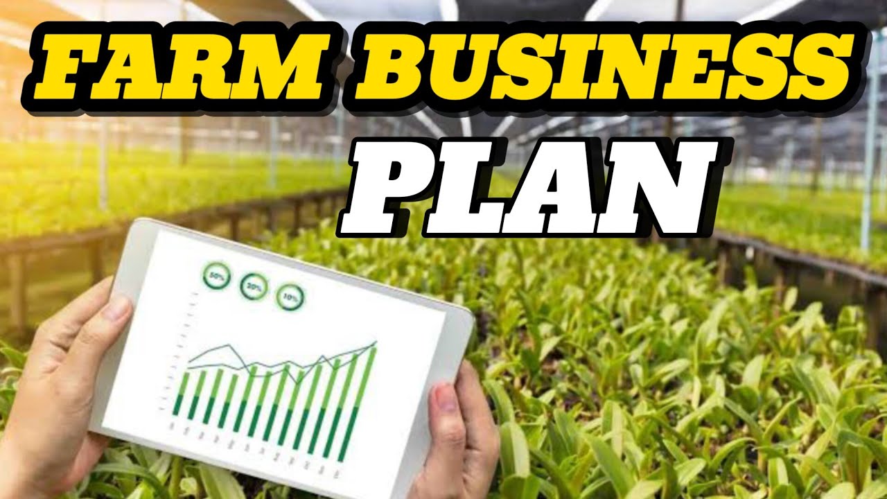 How to Budget for a Farm Business in Nigeria: Agriculture Wisdom