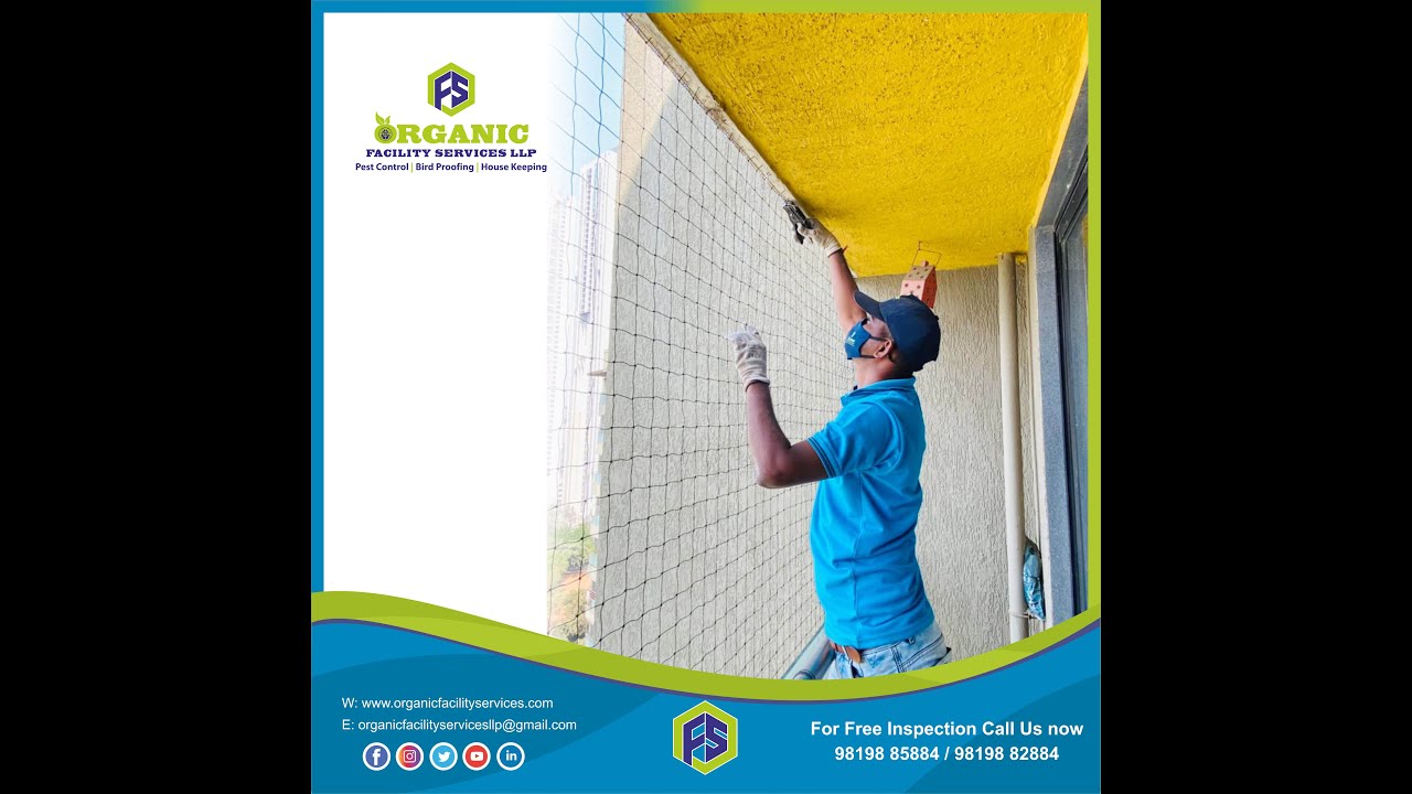 Bird Netting Installation