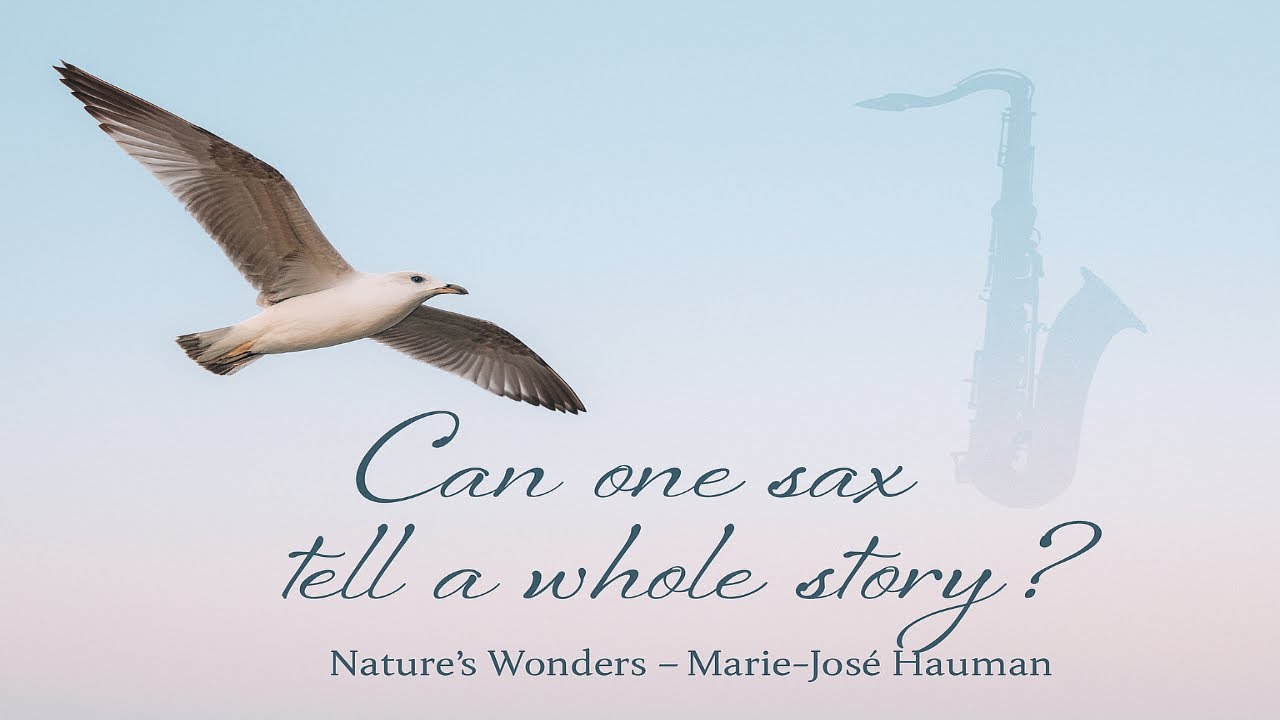 Solo Sax Chill – Inspired by the Seagull’s Freedom