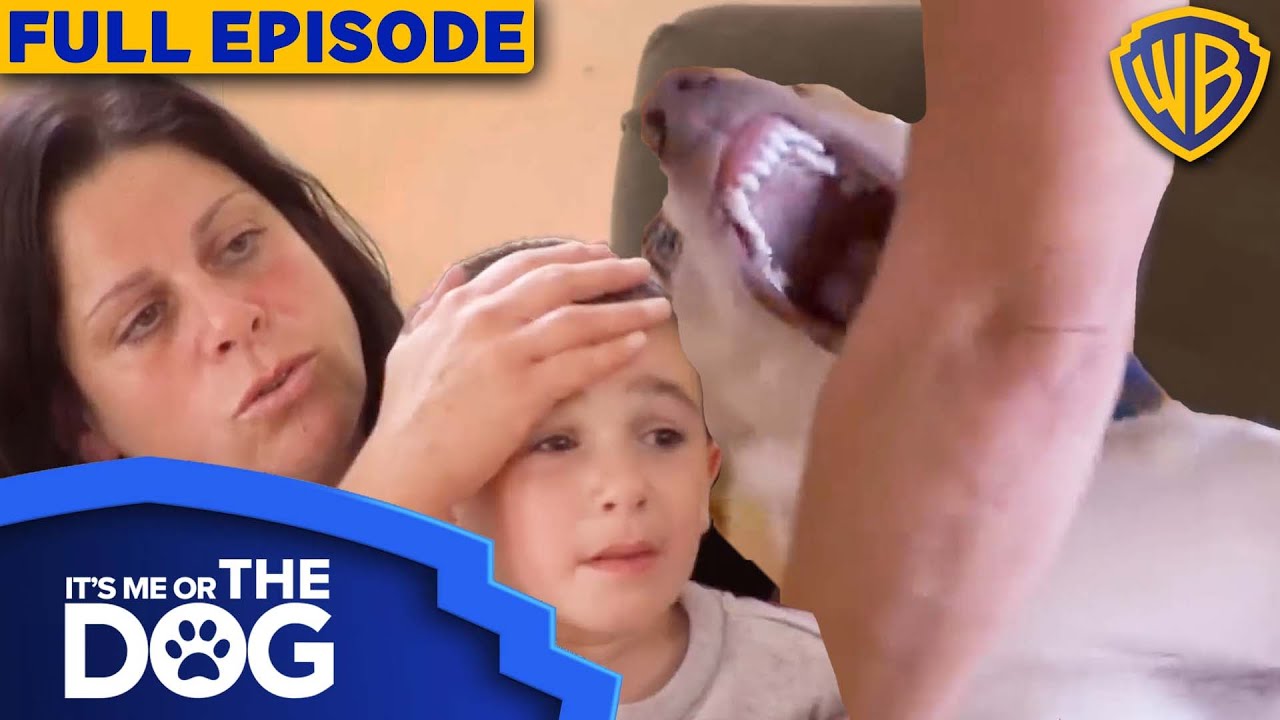 It's Me or The Dog USA | Episode 8 | Warner Bros. TV