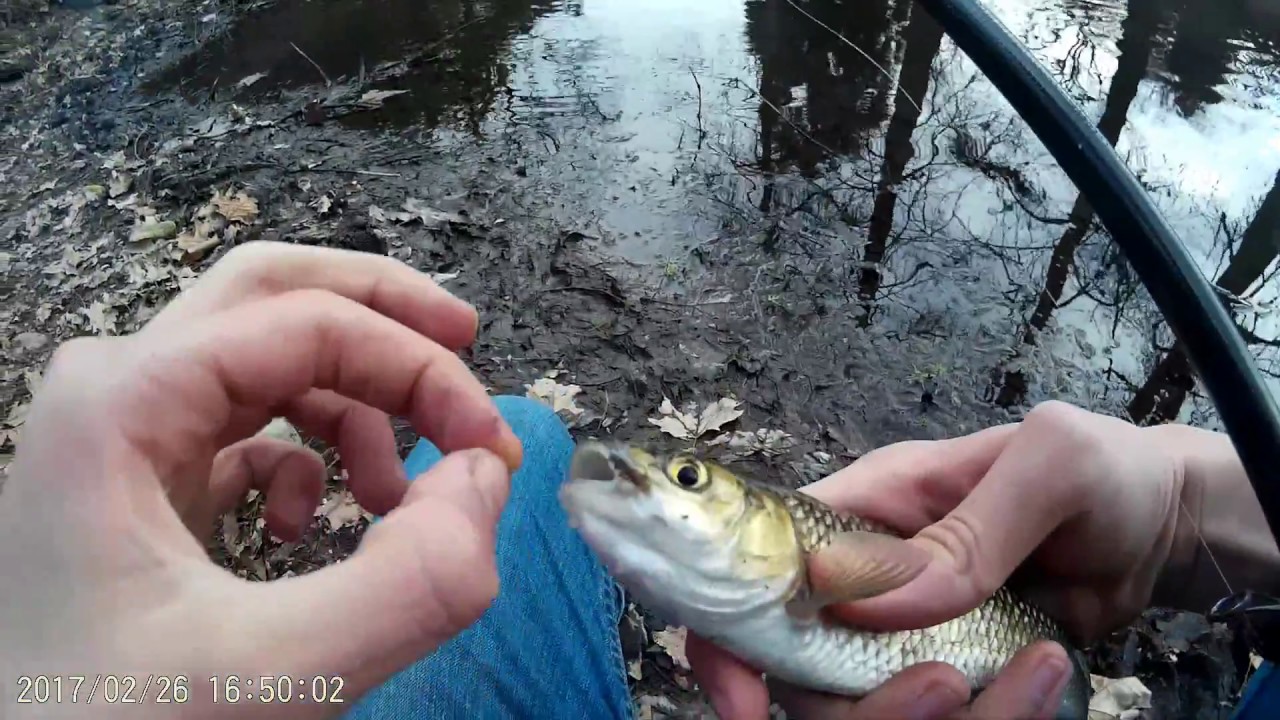 PESCATONA A CAVEDANI IN RISORGIVA.//W Nico &Edoz