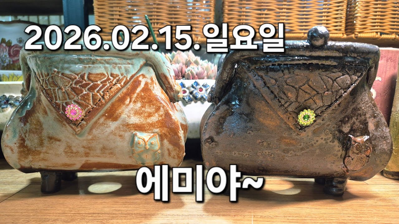 고양 구름다육 라이브 방송