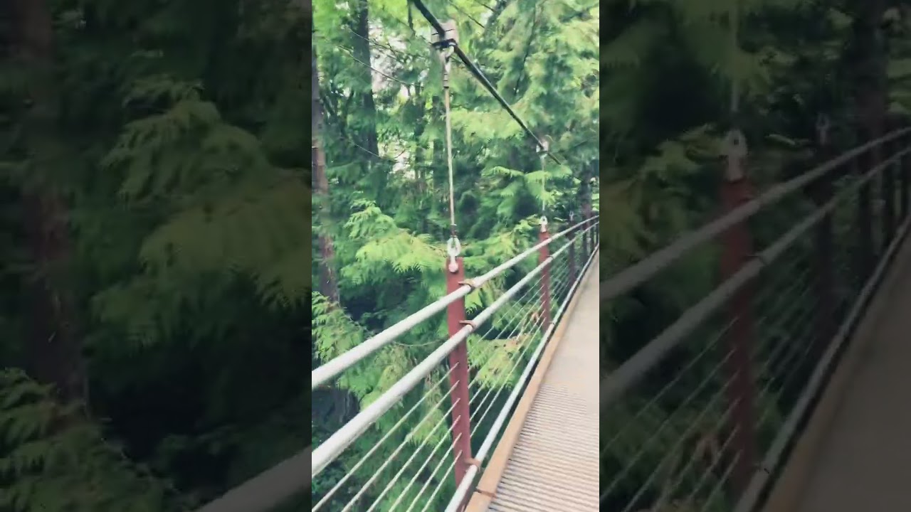 A walk on the Ravine Experience Bridge #youtubeshorts #nature #asmrsounds #asmr #Ravine #Bridge