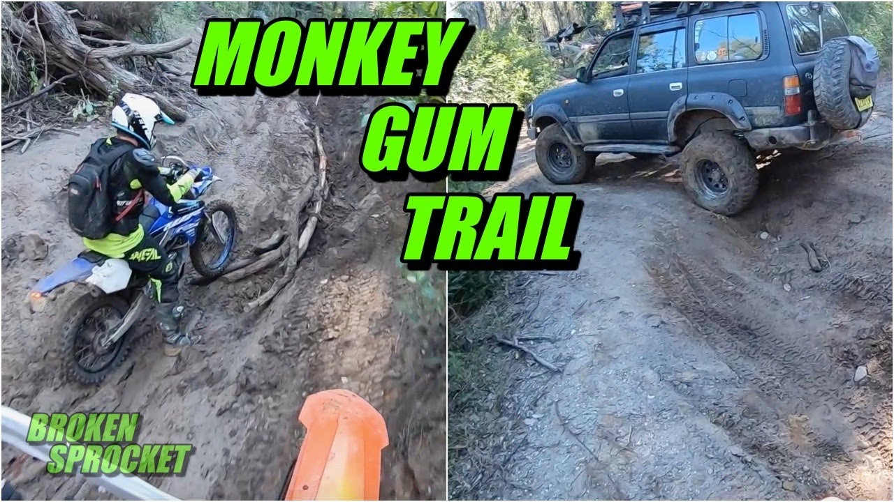 Monkey Gum Trail KTM 350 EXC-F Yamaha WR250F