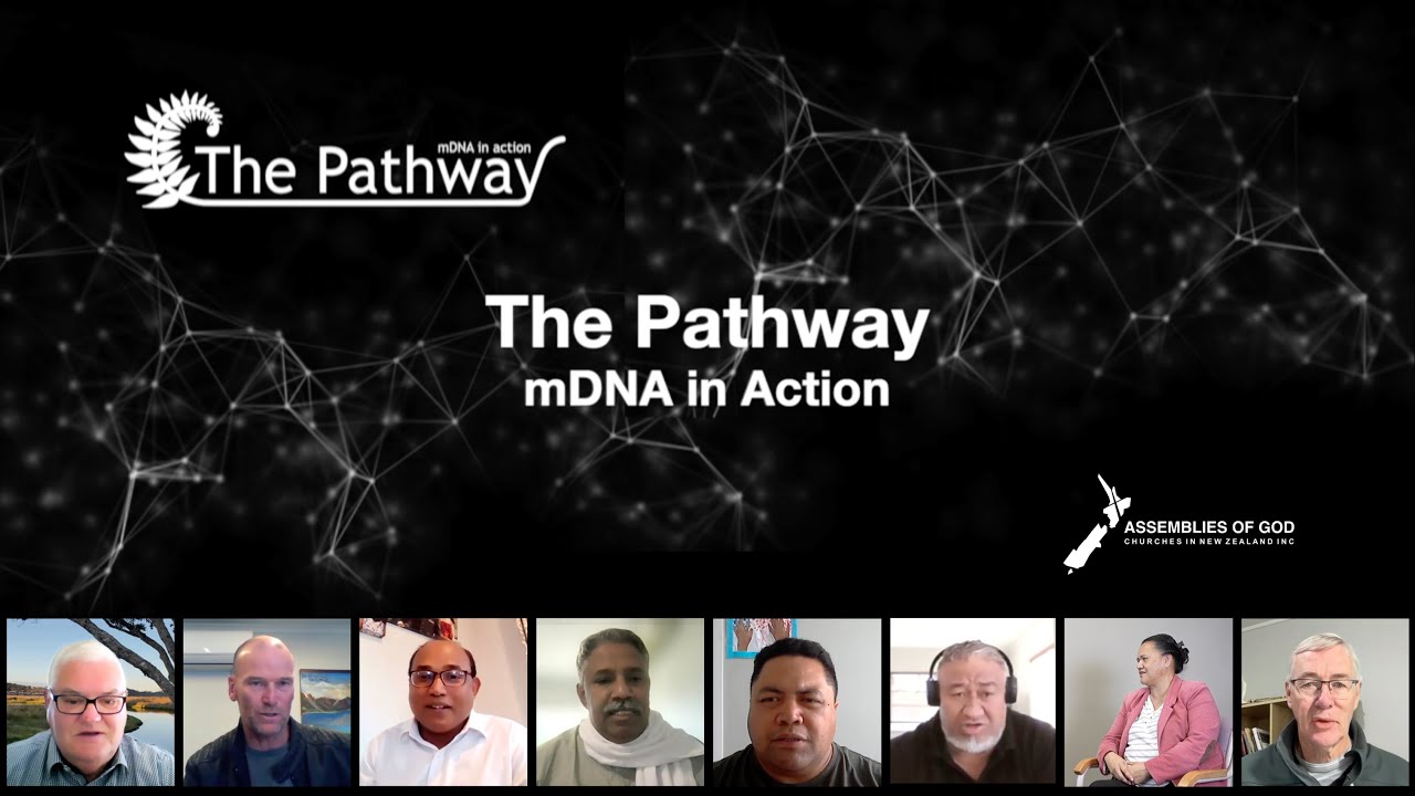 The Pathway mDNA in Action