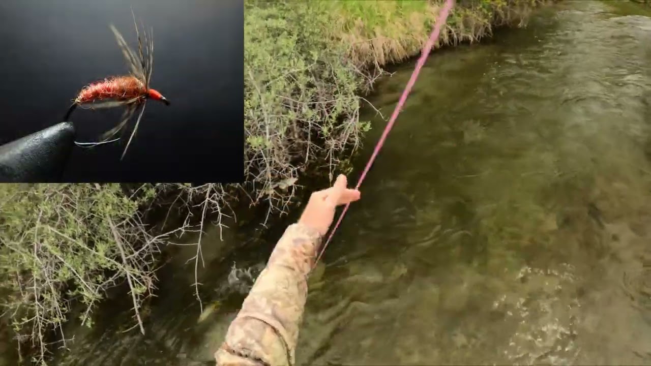 407. May 23, 2024 - On the way back from Wisconsin Tenkara Campout