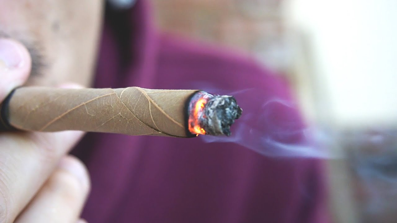 slow burning palm leaf wraps