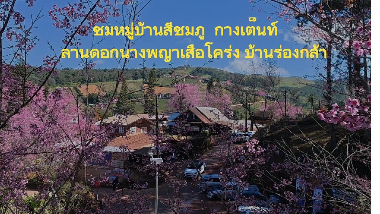 EP 14 ชมหมู่บ้านสีชมภู กางเต็นท์ลานดอกนางพญาเสือโคร่ง บ้านร่องกล้า