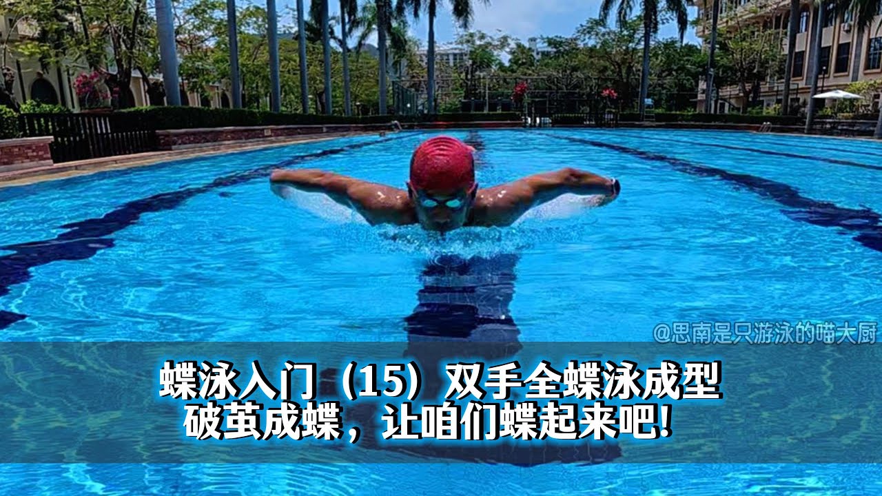 蝶泳入门（15）破茧成蝶，让咱们蝶起来吧！直臂双手全蝶泳成型