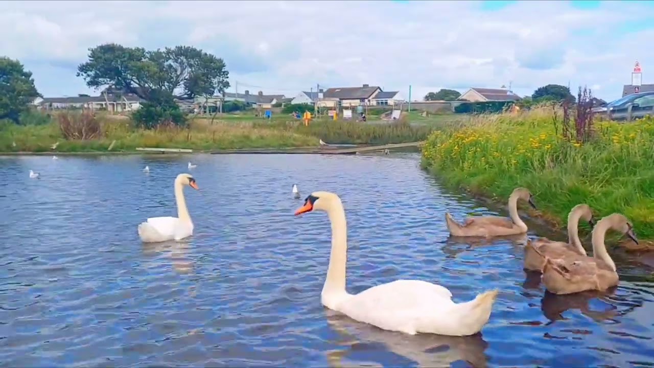 This lake in Ireland is simply stunning. Seize the moment! #nature  #ireland  #travel 