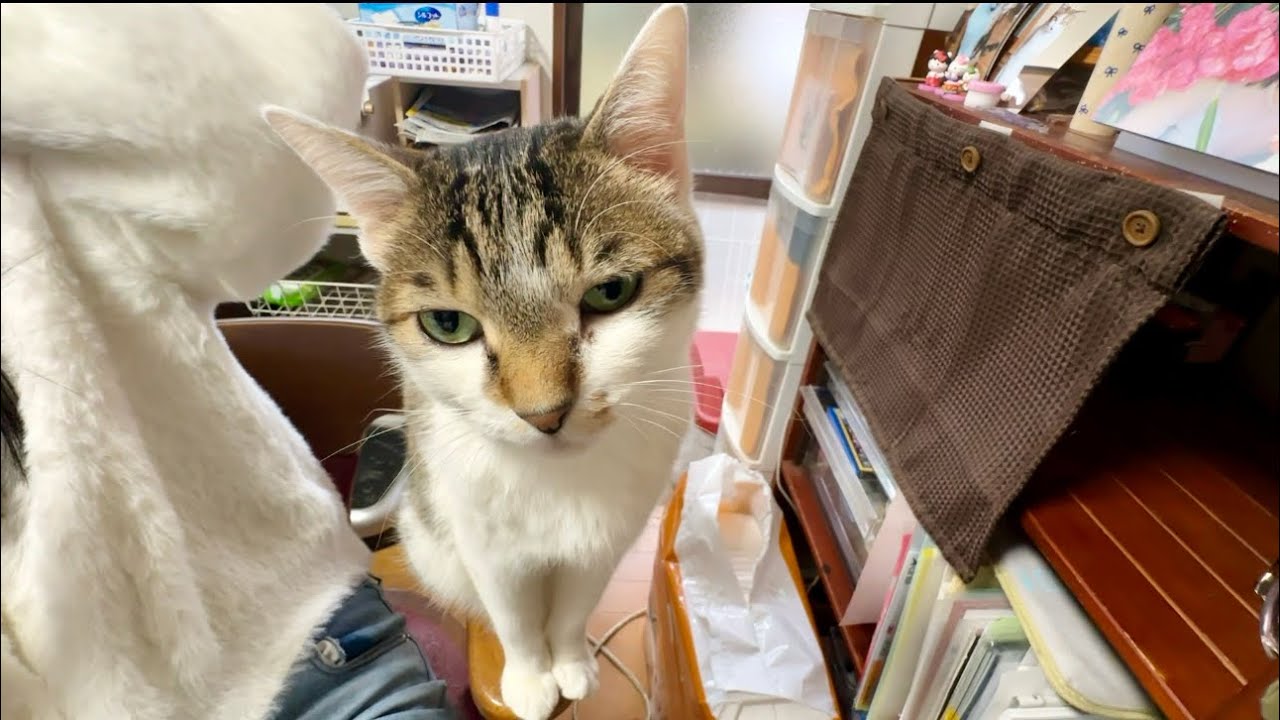 ダミ声💢こーちゃんおかみにめっちゃ物申ーーす！