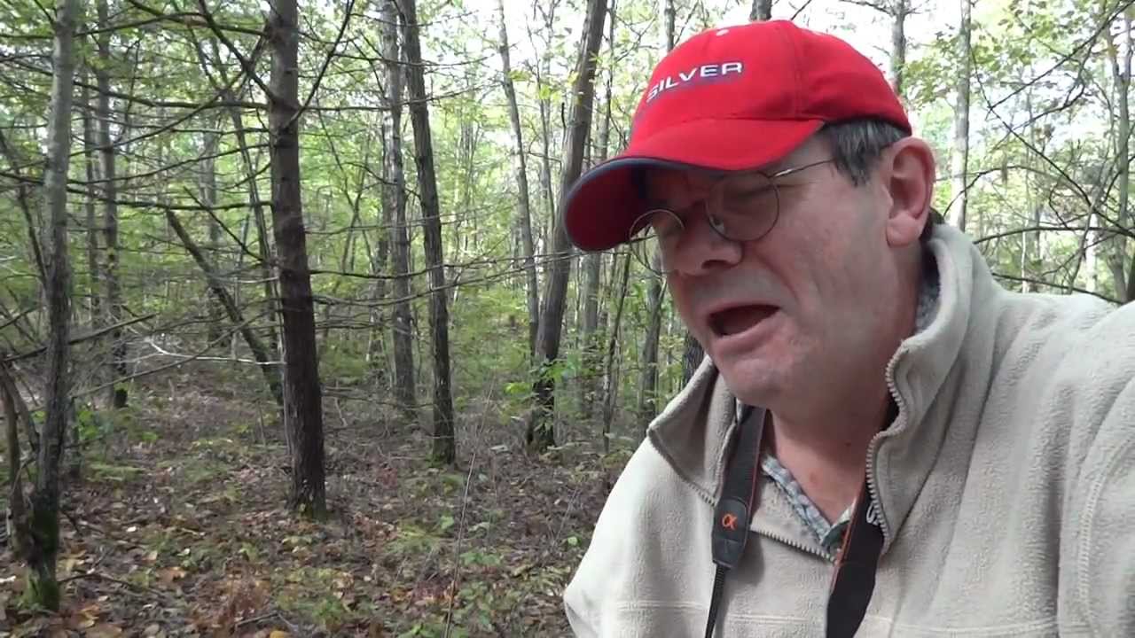 Old Connecticut Path: Hiking the Path Along Mine Brook - Webster & Douglas, MA
