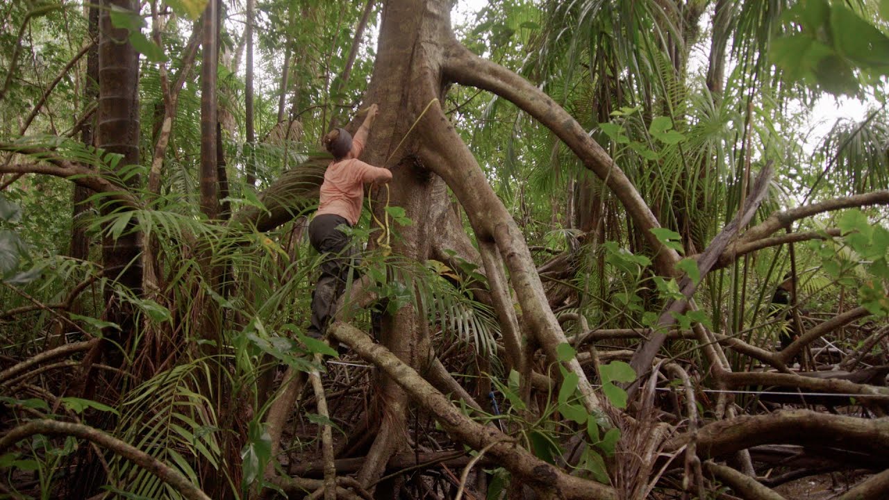 Rolex Perpetual Planet Initiative – Amazon Expedition: At the River Mouth