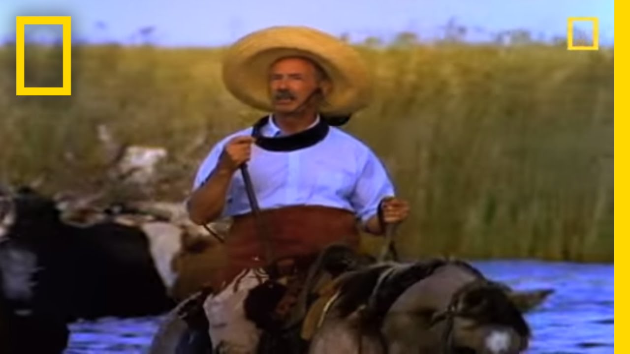 Gauchos | National Geographic