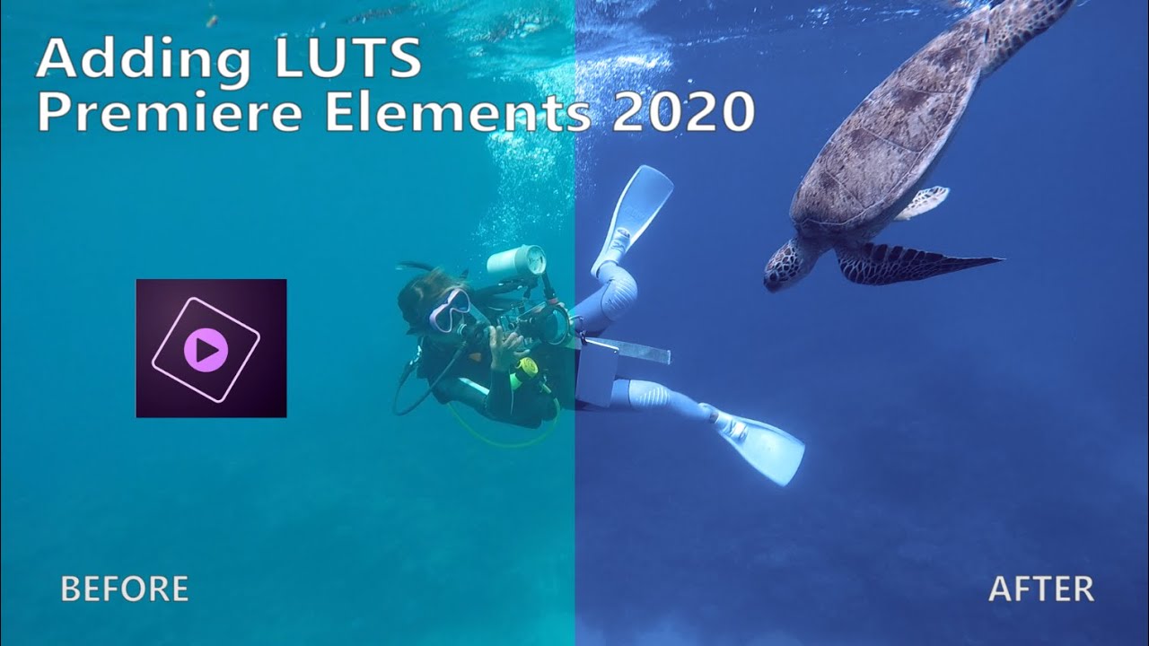 Premiere ELEMENTS 2020- How to add LUTS TUTORIAL for easy colour grading.