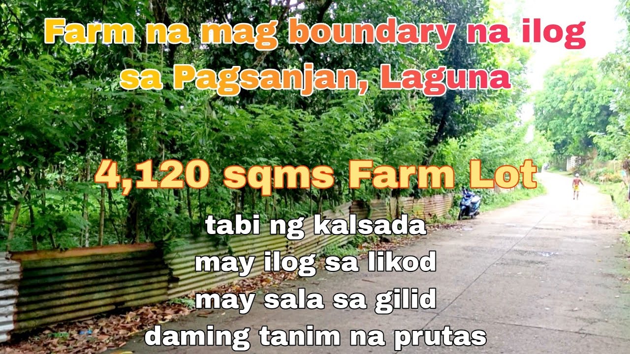 (P# 821) Farm lot na may katabing ilog 4,120 sqms @ 1,200/sqm in Pagsanjan, Laguna  for sale