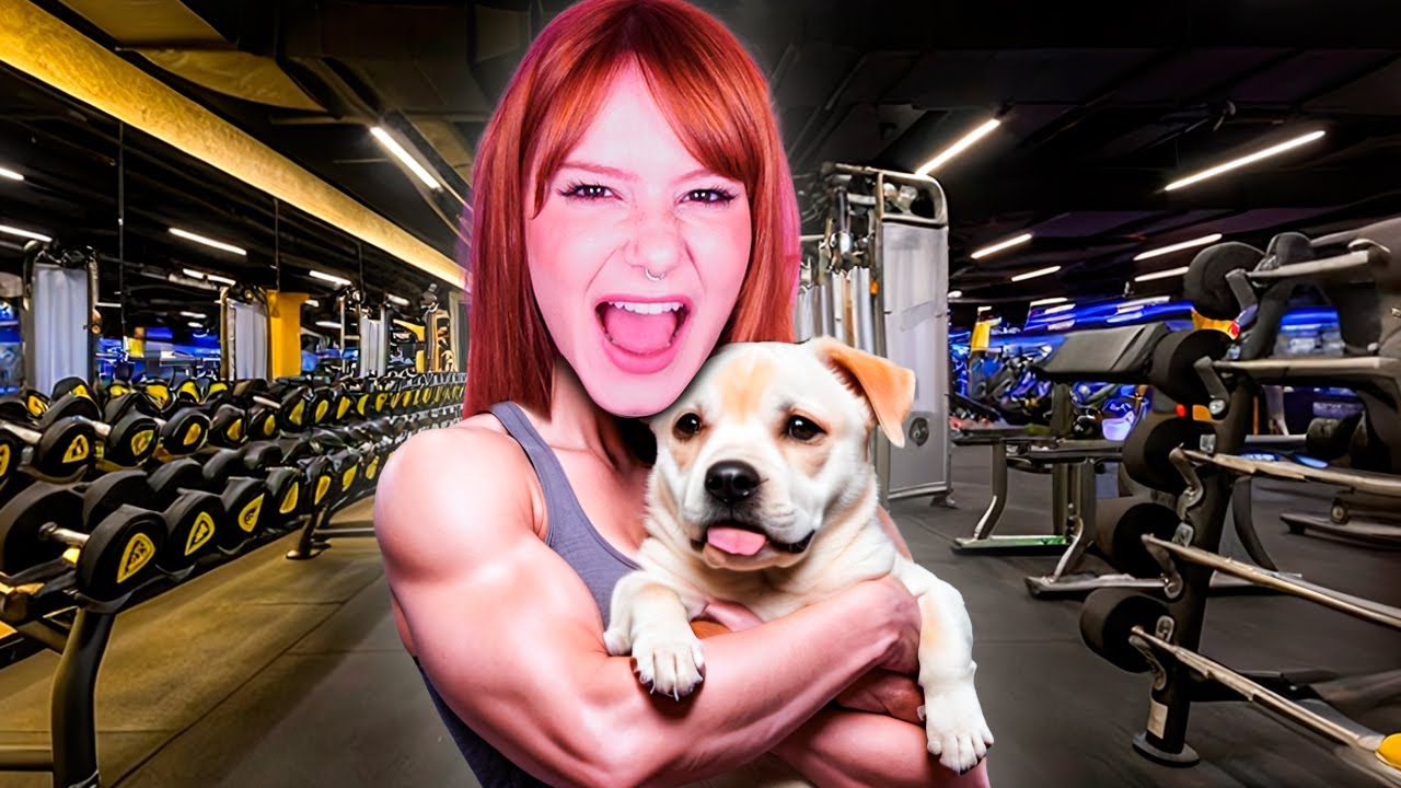 ADOTEI UM NOVO CACHORRINHO