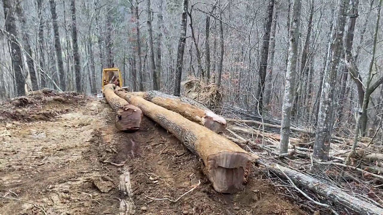 John Deere Dozer pulling 2000+ Board feet!!