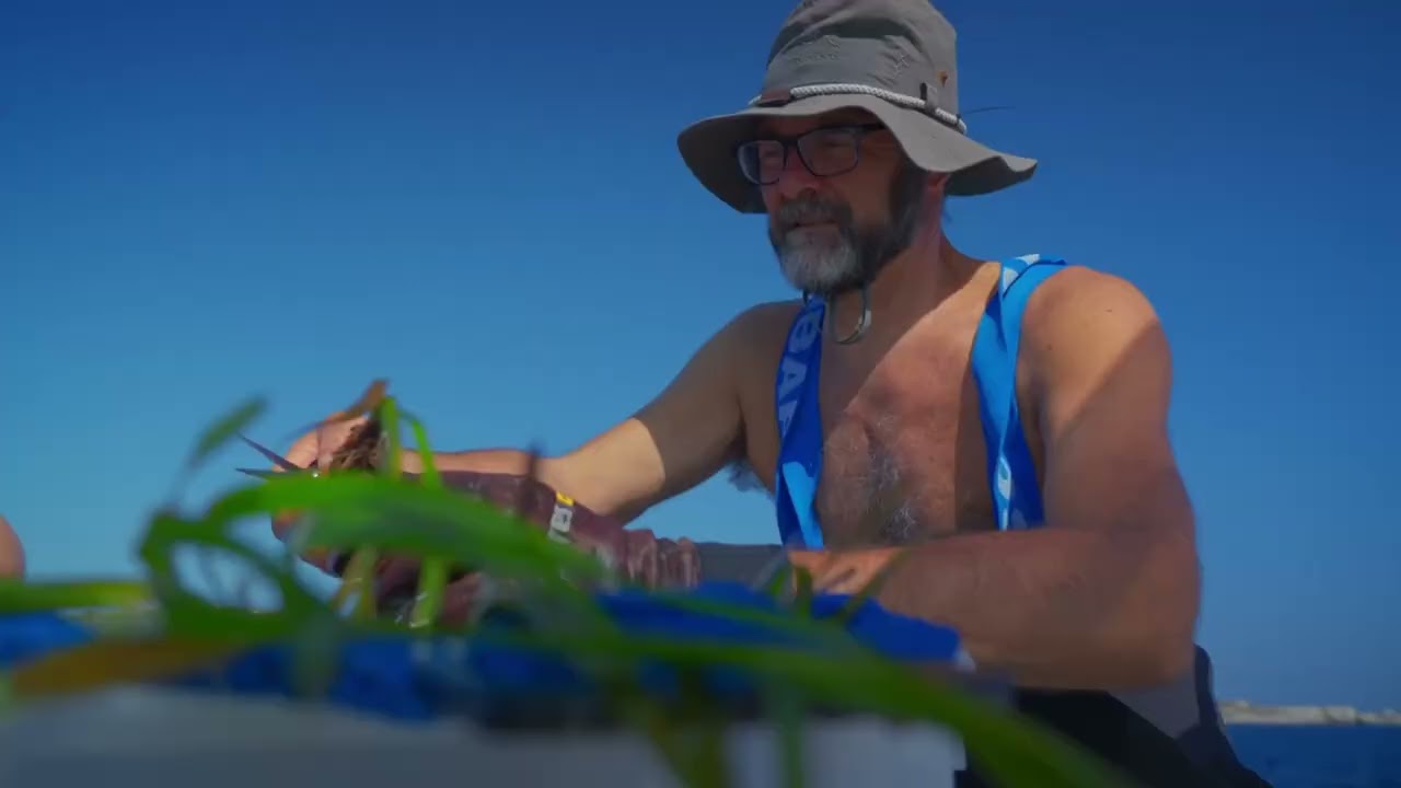 Posidonia, esito positivo per il progetto di ripristino a Santa Teresa Gallura