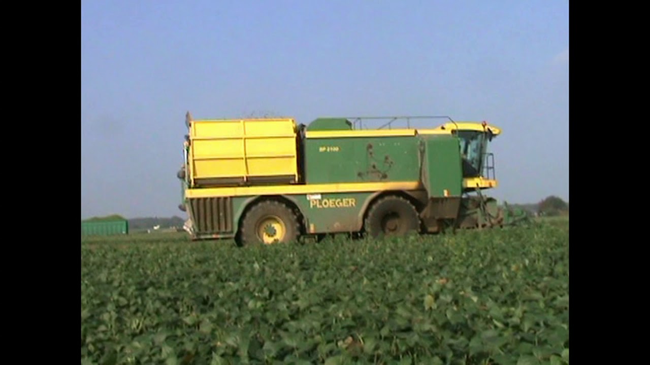 TWO PLOEGER BP2100 GREEN BEAN HARVESTERS