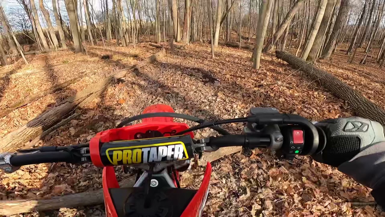 Ripping trails with the pit bike (2022 crf125f)