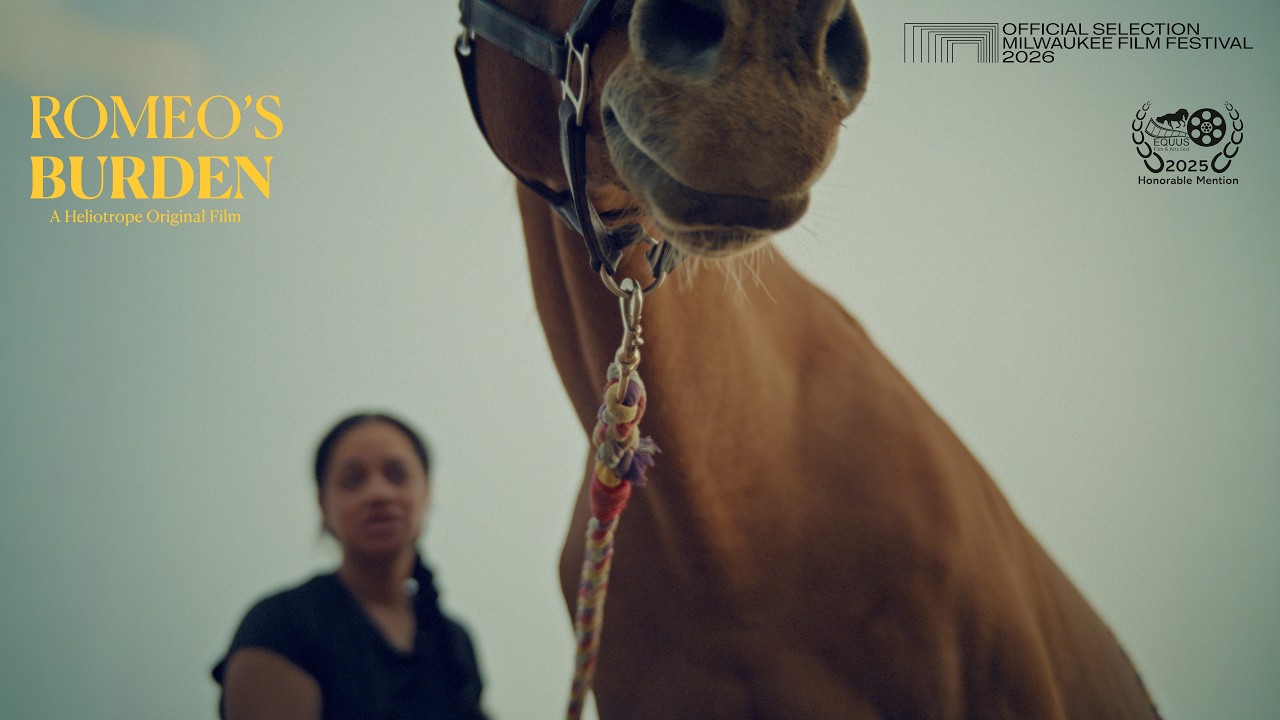 Romeo's Burden, a documentary short