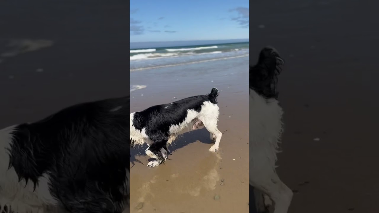 Грустный тренд🥲парню уже 9 лет 