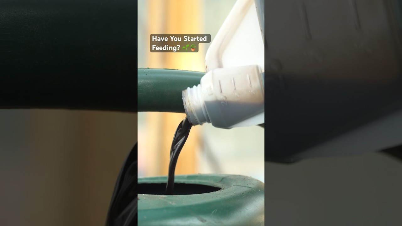 Have You Started Feeding? 🌱🪴