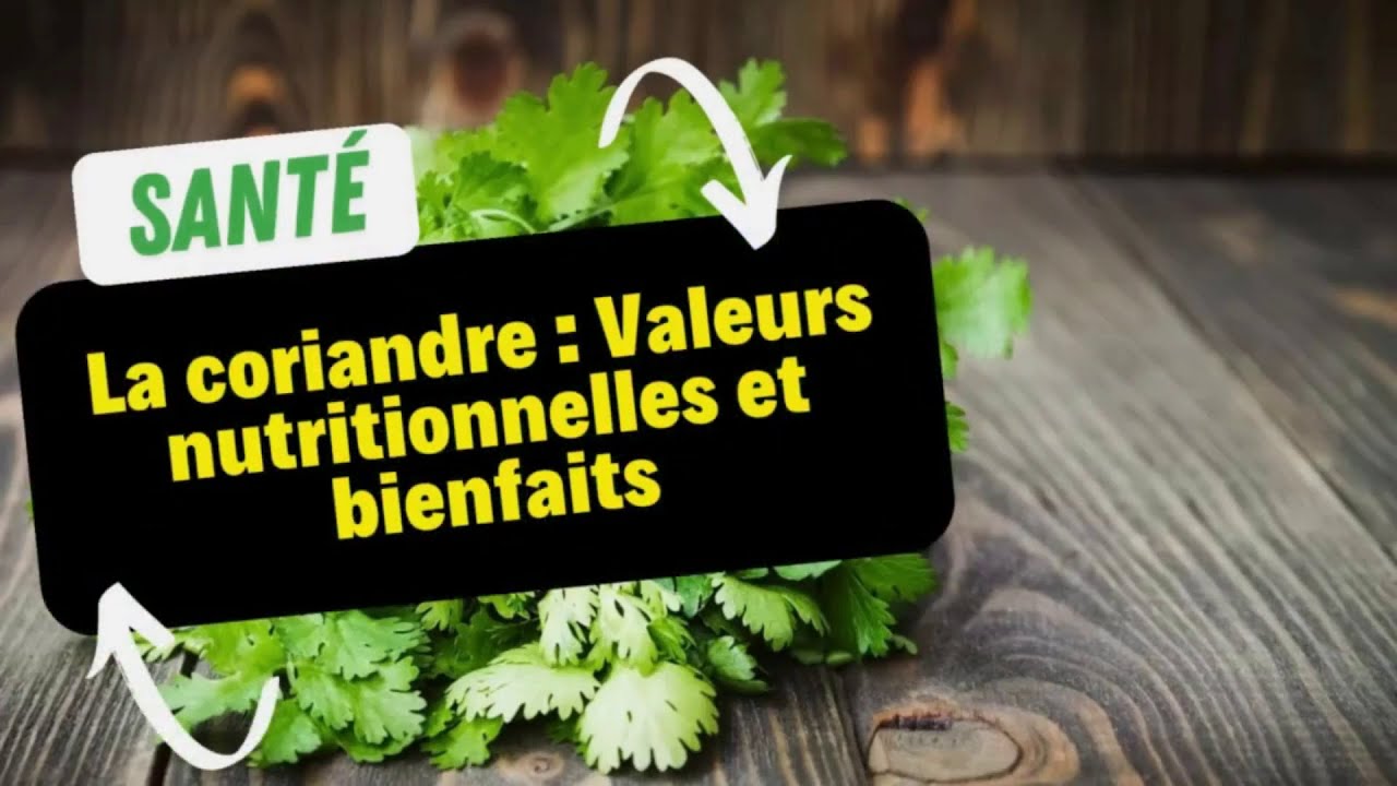 La coriandre : Valeurs nutritionnelles et bienfaits
