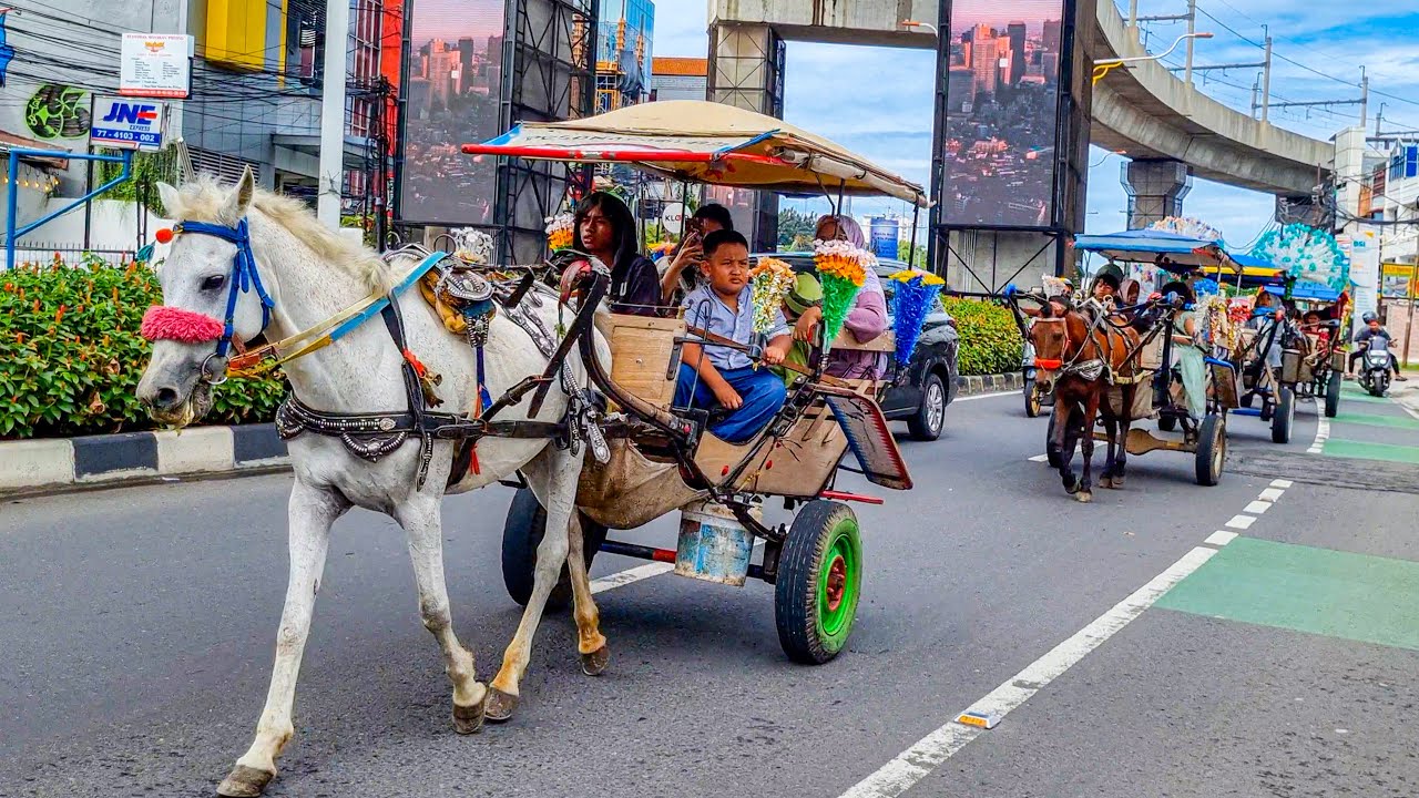 KUDA | KUDA DELMAN - NAIK KUDA | LAGU NAIK DELMAN, POTONG BEBEK, KERETA API, WHEELS ON THE BUS