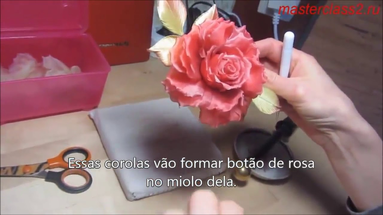 Rosa Simples (Olga Yakimova)