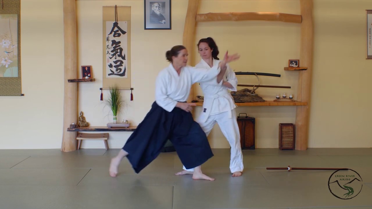 Solo Practice: Aikido Tai Sabaki movements