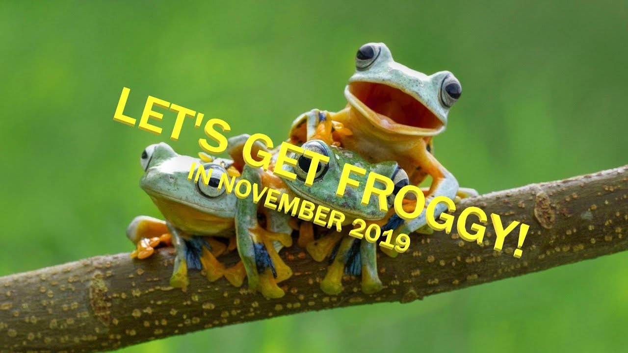 Paleozoic Frog Deck Profile November 2019