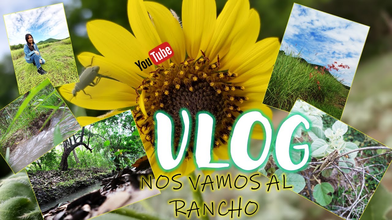 #MIPrimerVlog &iexcl;&iexcl;Nos vamos al rancho!! 🌳 🌵