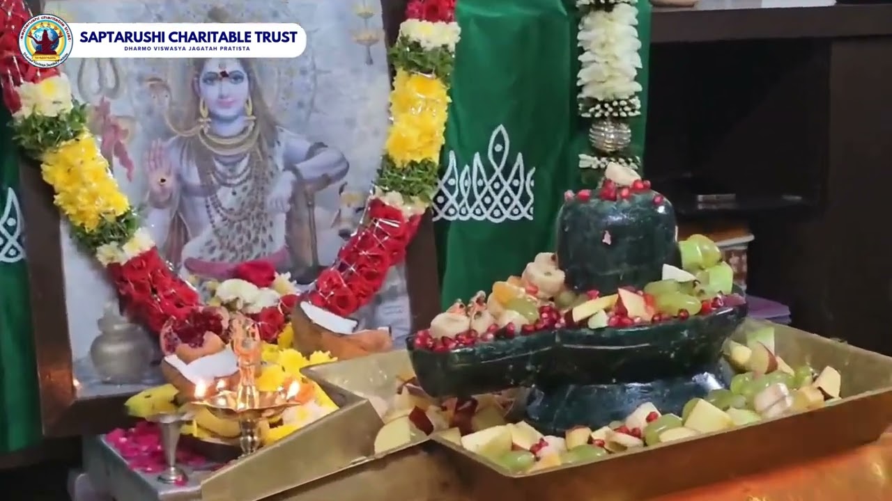 Highlights from Day 17 of the Shivoham Program | SAPTARUSHI CHARITABLE TRUST