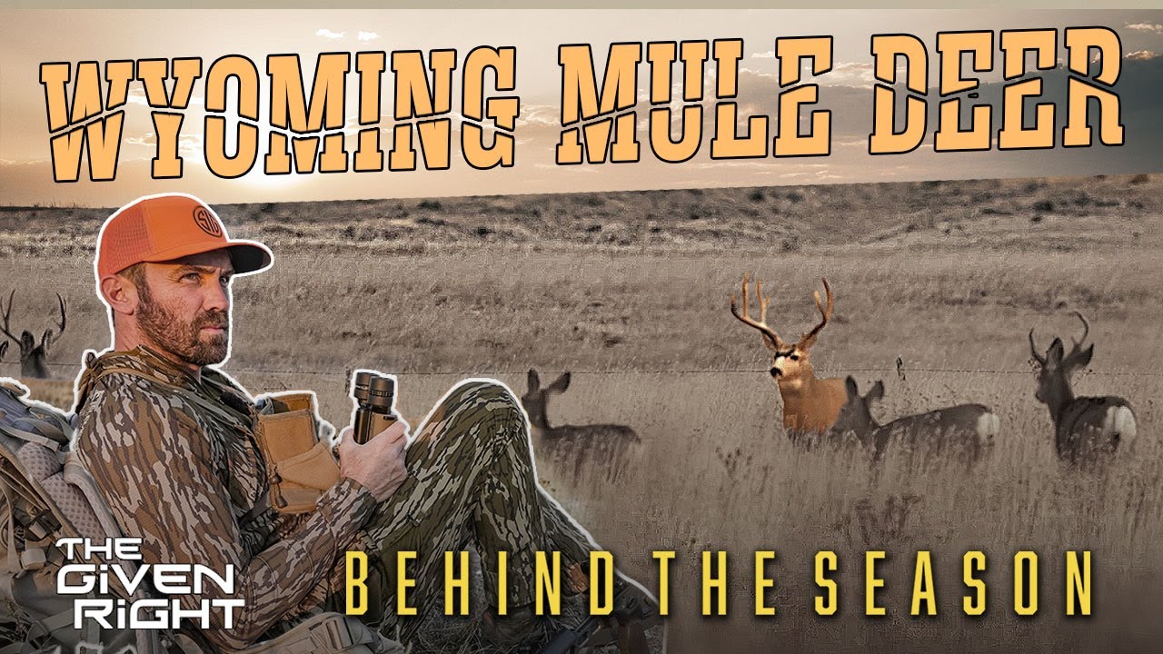 Laden's Personal Best! | DIY Wyoming Mule Deer Hunt