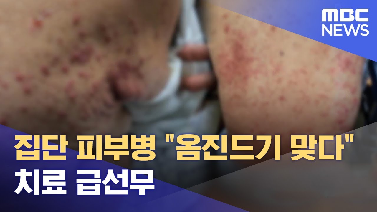 집단 피부병 