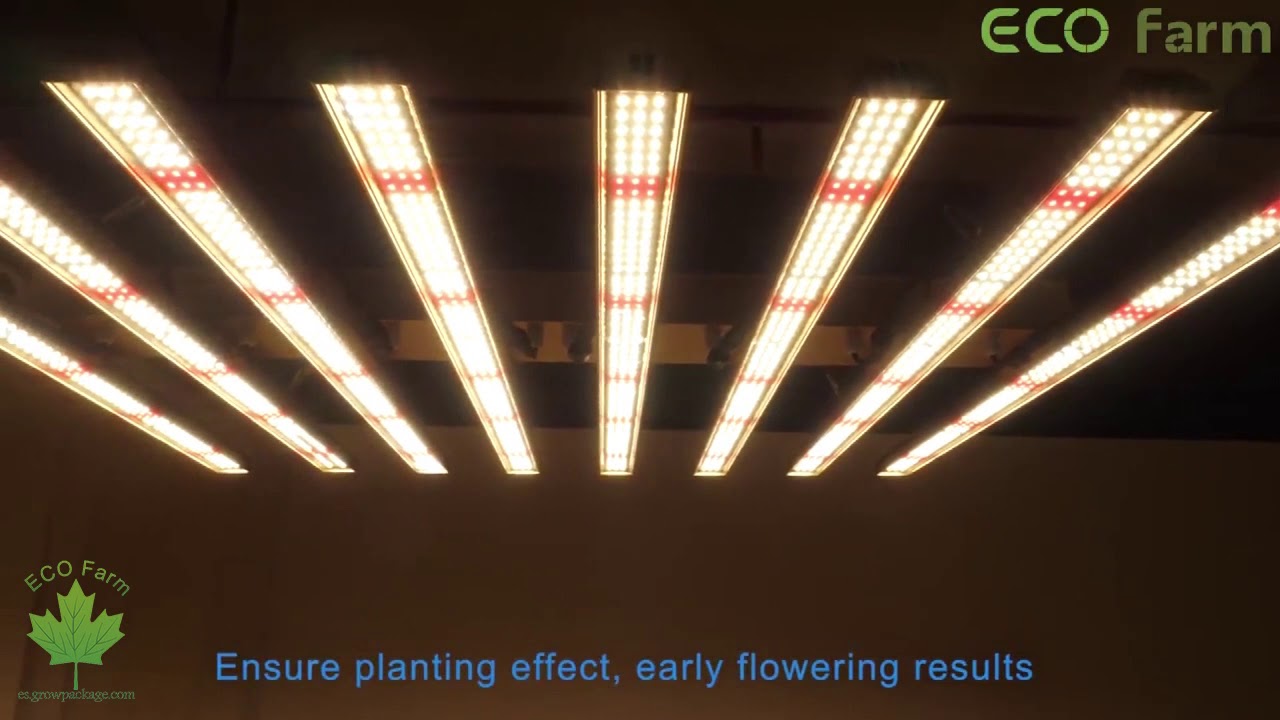 ECO FARM LED BARRAS 500W SAMSUNG CHIP 561C LUZ DE CULTIVO COMERCIAL PARA INVERNADERO