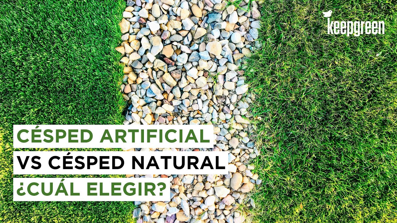 🤔&iquest;Poner c&eacute;sped artificial o c&eacute;sped natural? &iquest;Cu&aacute;l es LA MEJOR OPCI&Oacute;N?