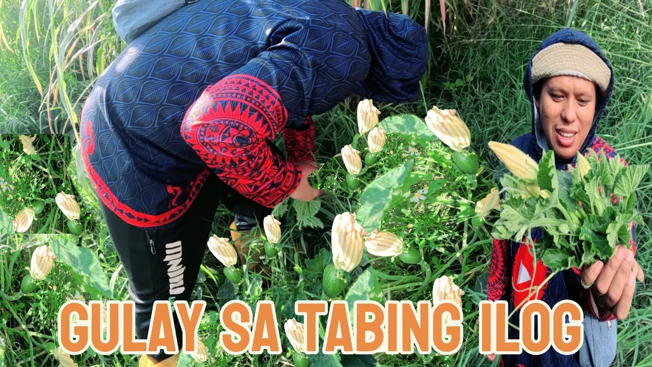 BIYAYA SA ILOG NG TAIWAN||NAUNAHAN KAMI KAYA TALBOS NALANG ANG KINUHA NAMIN