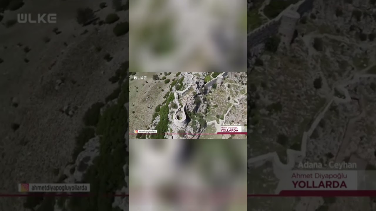 Cemşit'in Dehalığı  Bitkilerle Konuşmanın Sırrı