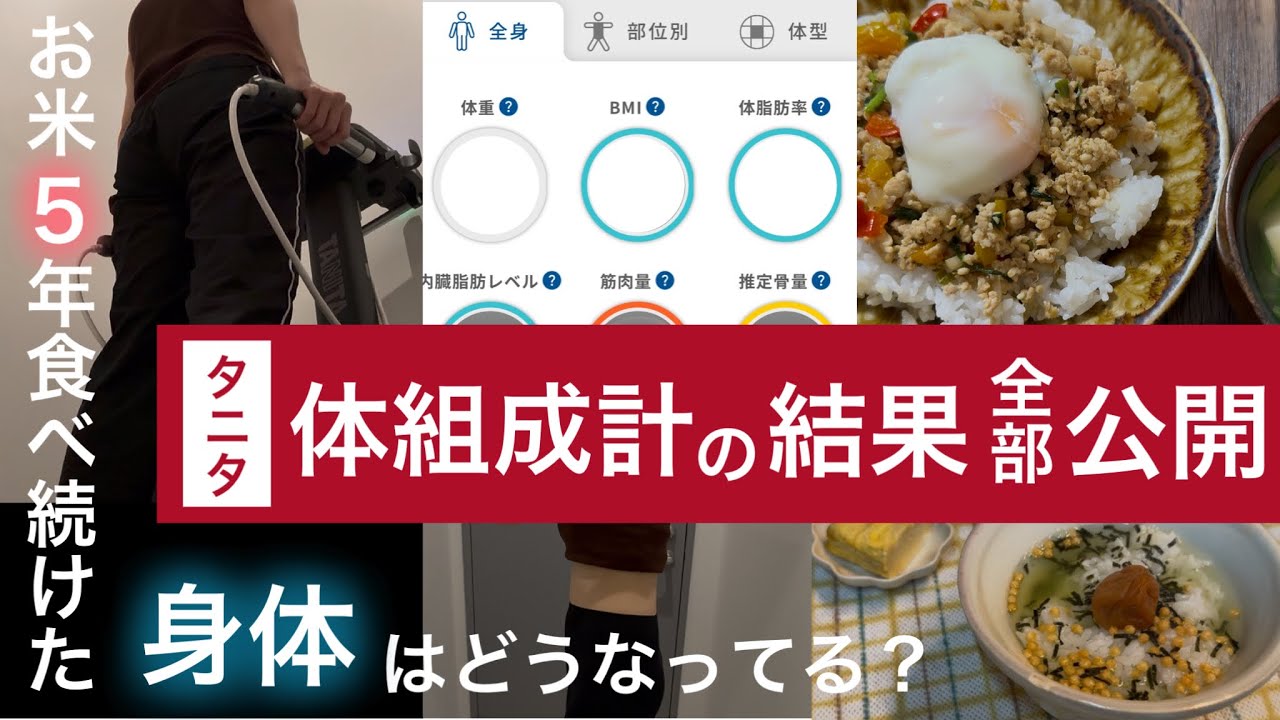 【５年】続けてるお米生活。体組成計で分かった“本当の体の中身”【全データ公開】