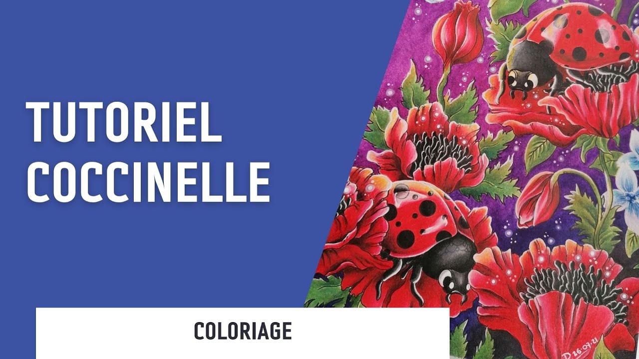TUTO | Comment mettre en couleur une coccinelle